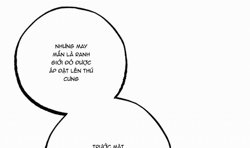 Đàn Thỏ Của Habibi 34 trang 157