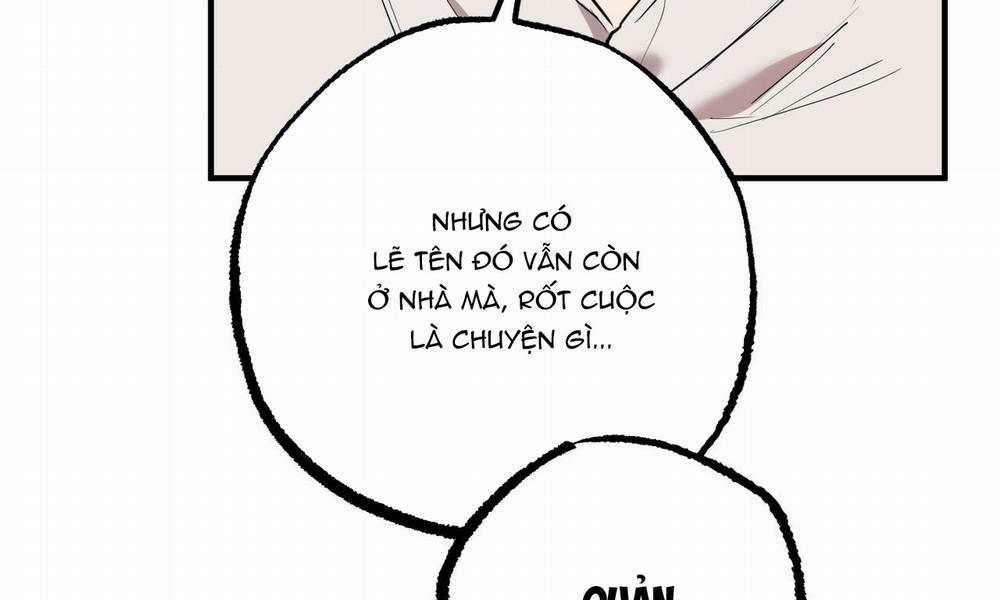 Đàn Thỏ Của Habibi 34 trang 16