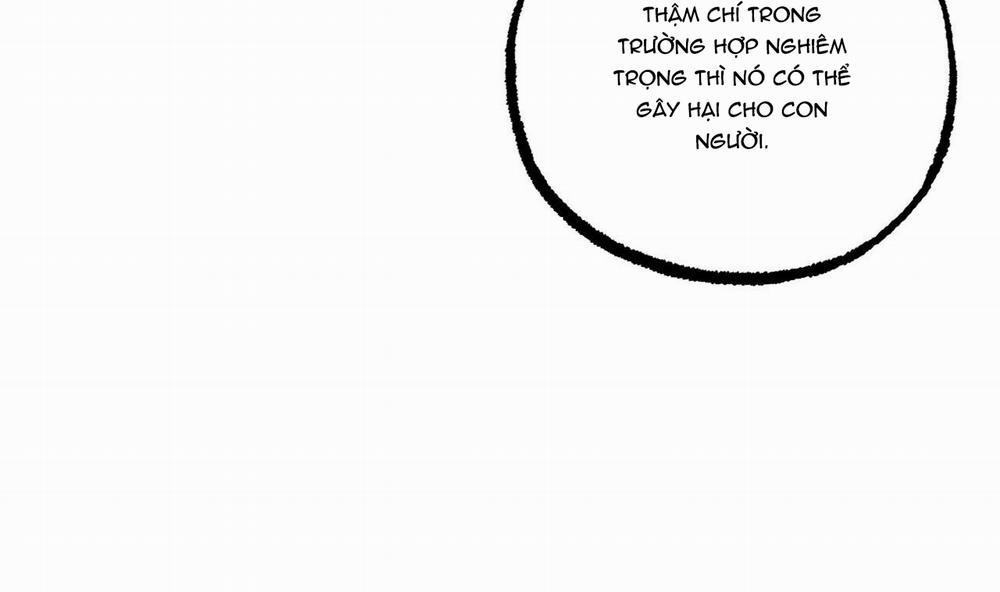 Đàn Thỏ Của Habibi 34 trang 160