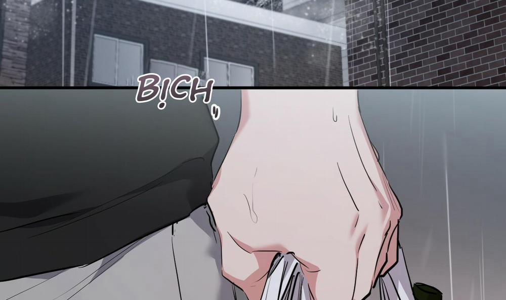 Đàn Thỏ Của Habibi 34 trang 223