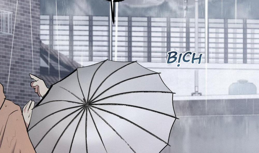 Đàn Thỏ Của Habibi 34 trang 233