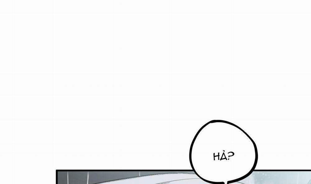 Đàn Thỏ Của Habibi 34 trang 239