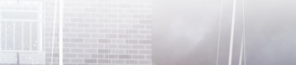 Đàn Thỏ Của Habibi 34 trang 254