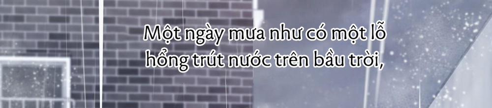 Đàn Thỏ Của Habibi 34 trang 256