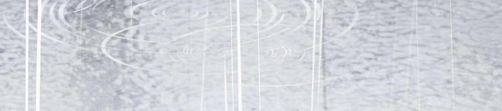 Đàn Thỏ Của Habibi 34 trang 267