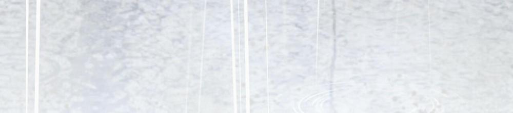 Đàn Thỏ Của Habibi 34 trang 268