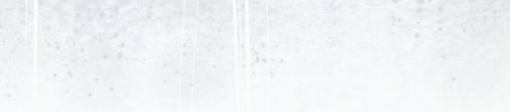 Đàn Thỏ Của Habibi 34 trang 269