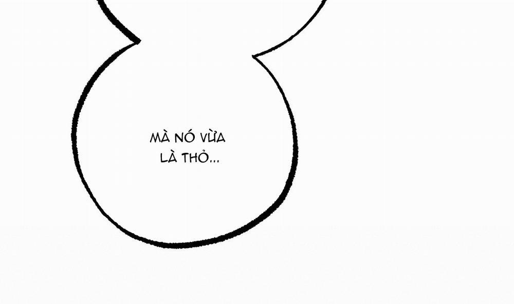 Đàn Thỏ Của Habibi 34 trang 32