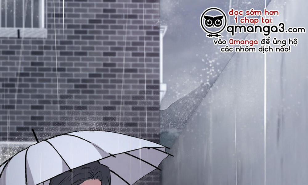 Đàn Thỏ Của Habibi 35 trang 1