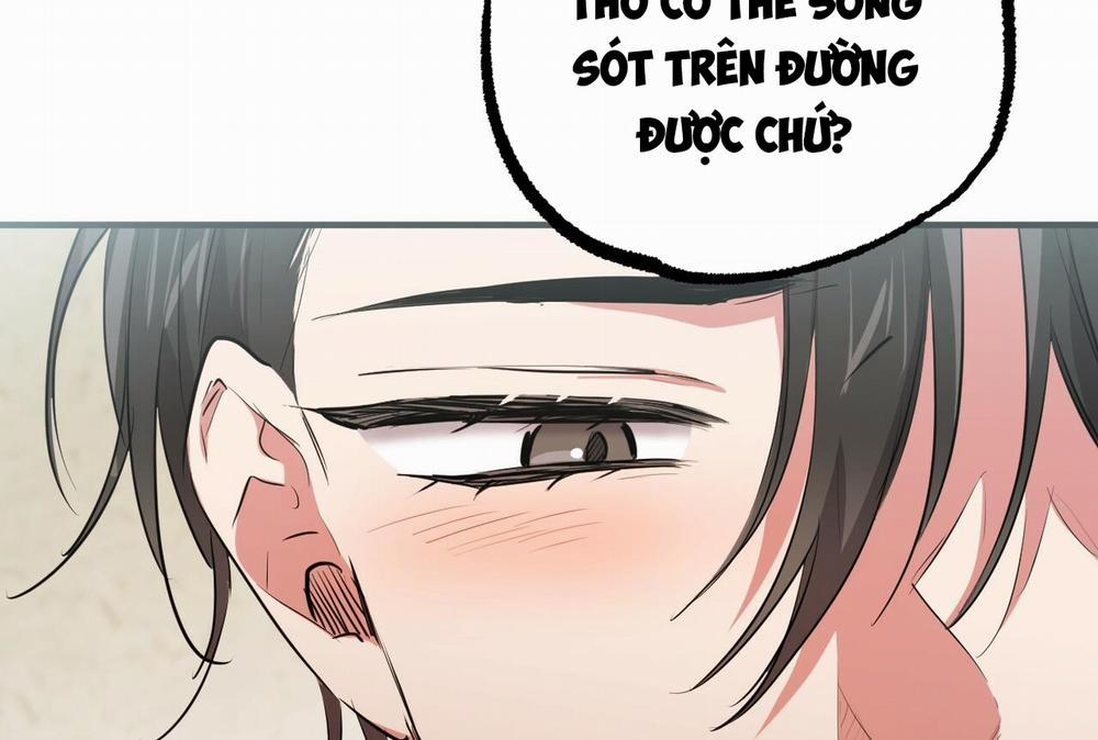 Đàn Thỏ Của Habibi 35 trang 162