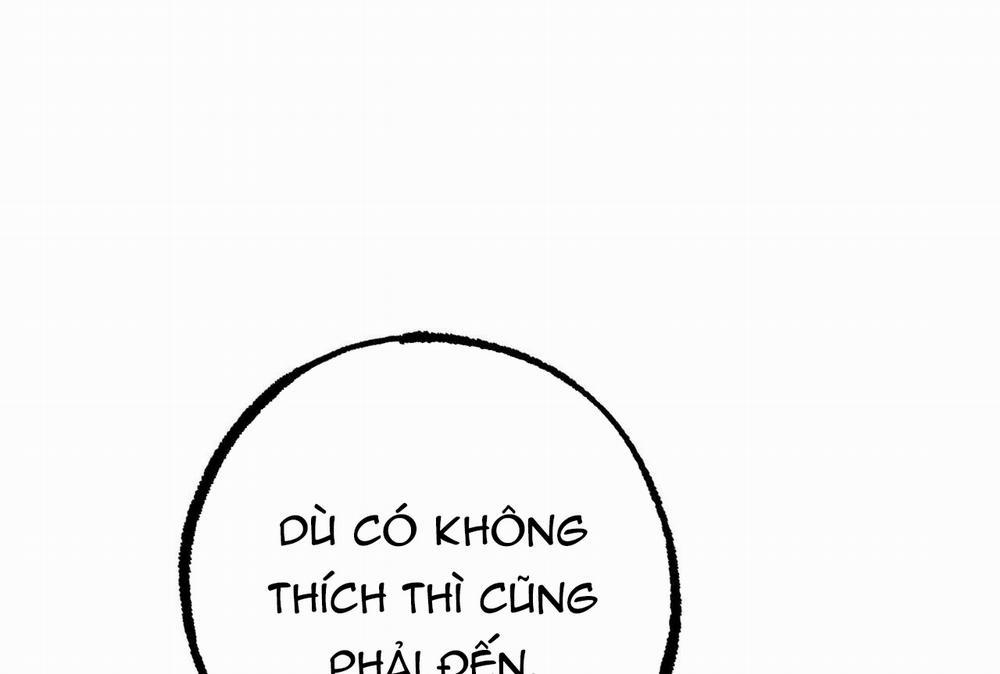 Đàn Thỏ Của Habibi 35 trang 178