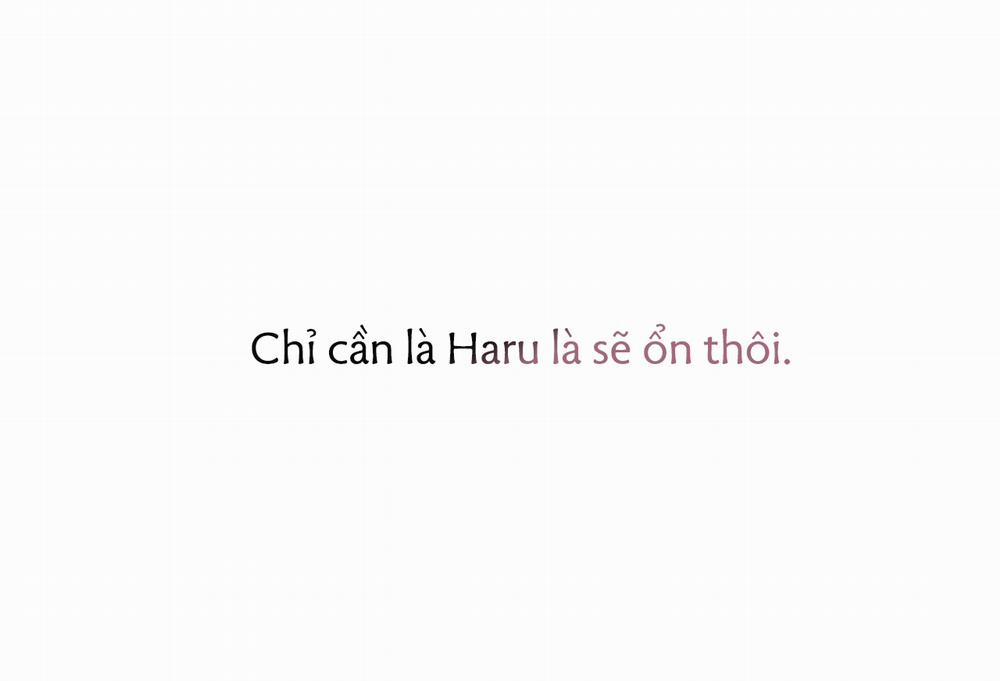 Đàn Thỏ Của Habibi 35 trang 221