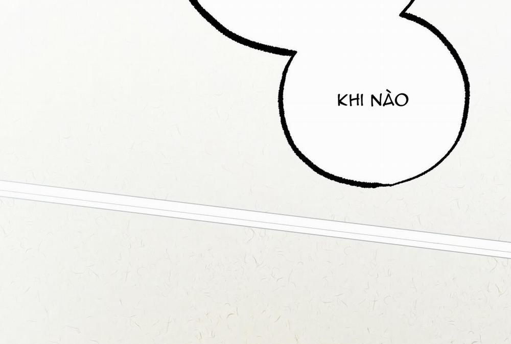 Đàn Thỏ Của Habibi 35 trang 254