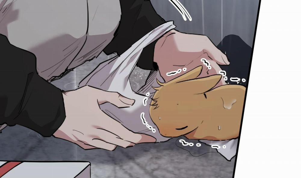 Đàn Thỏ Của Habibi 35 trang 26