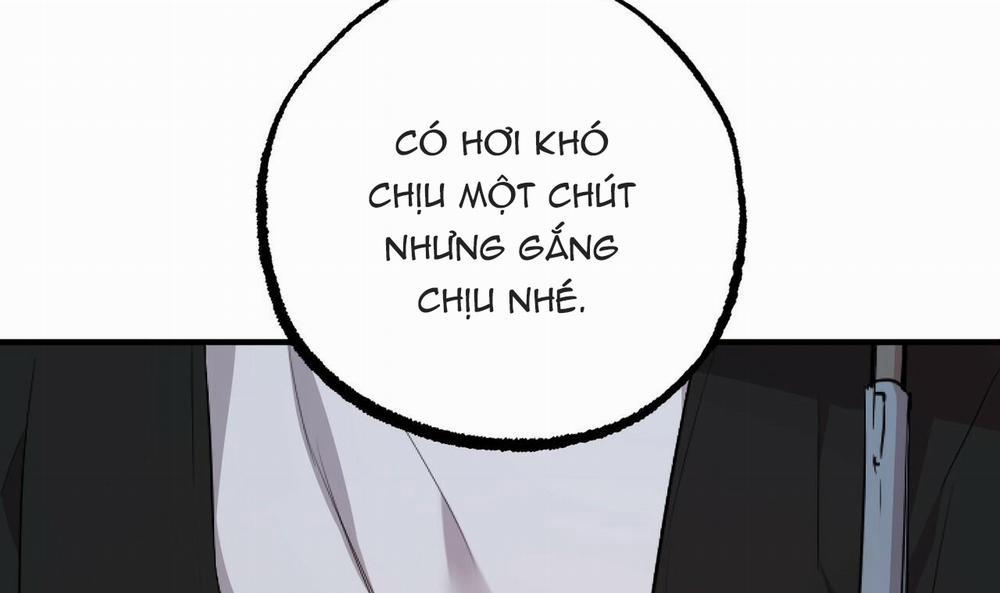 Đàn Thỏ Của Habibi 35 trang 28