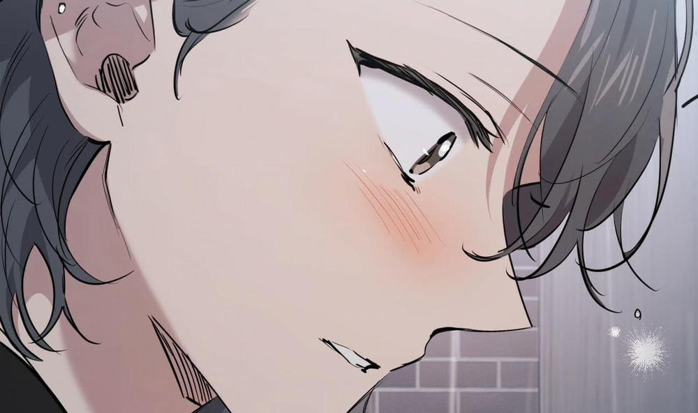 Đàn Thỏ Của Habibi 35 trang 37