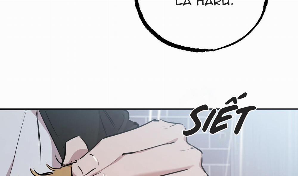 Đàn Thỏ Của Habibi 35 trang 48