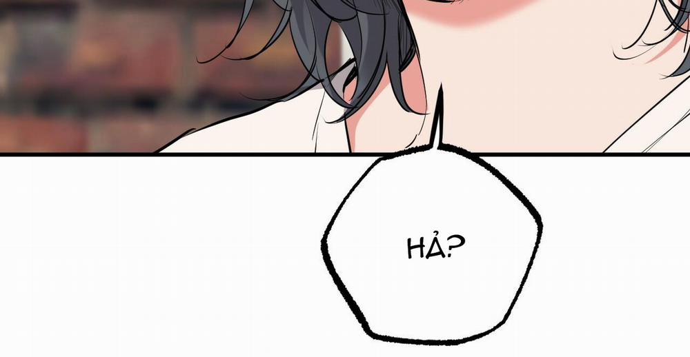 Đàn Thỏ Của Habibi 36 trang 101