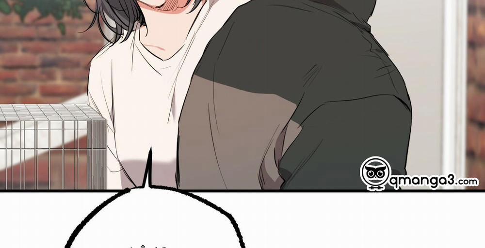 Đàn Thỏ Của Habibi 36 trang 111