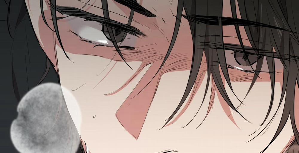 Đàn Thỏ Của Habibi 36 trang 144