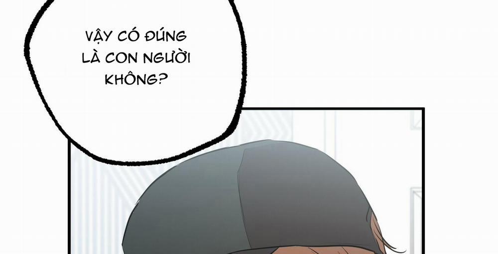 Đàn Thỏ Của Habibi 36 trang 152