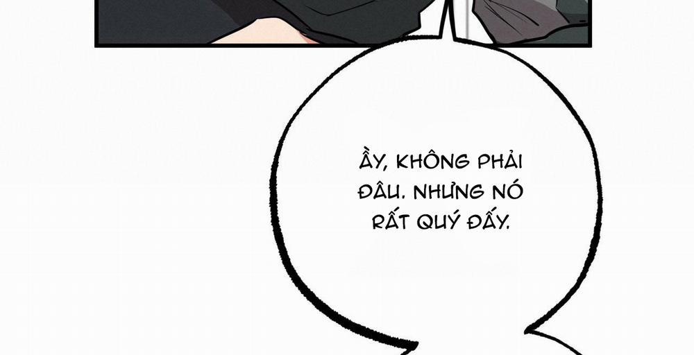 Đàn Thỏ Của Habibi 36 trang 155