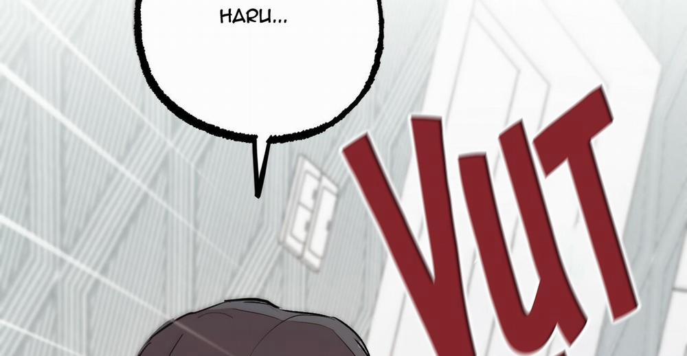 Đàn Thỏ Của Habibi 36 trang 181