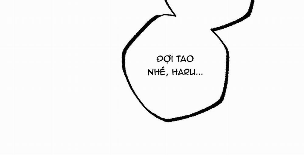 Đàn Thỏ Của Habibi 36 trang 222