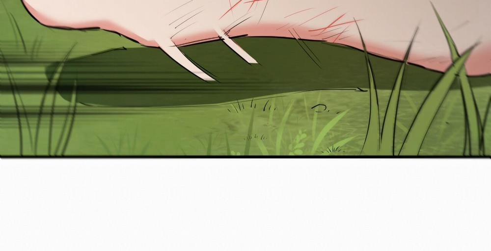 Đàn Thỏ Của Habibi 36 trang 230