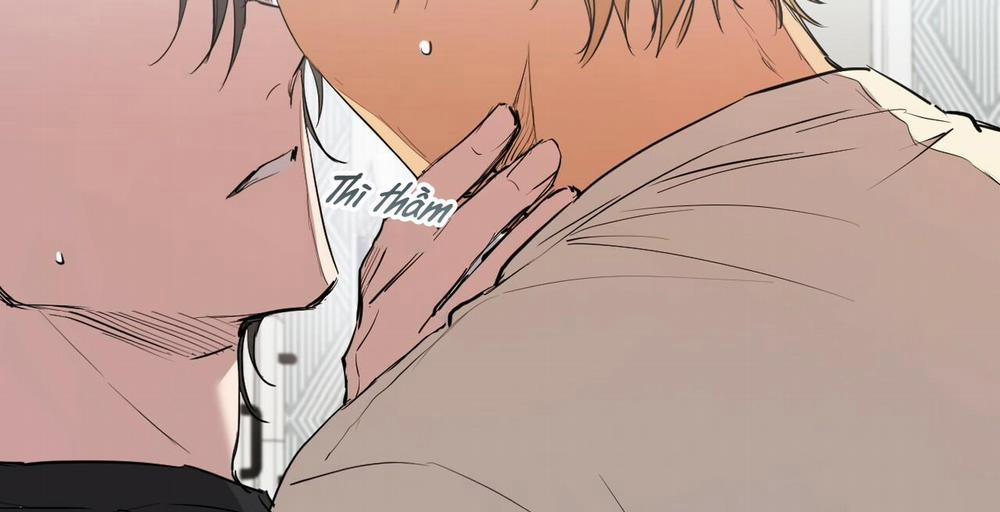 Đàn Thỏ Của Habibi 36 trang 234