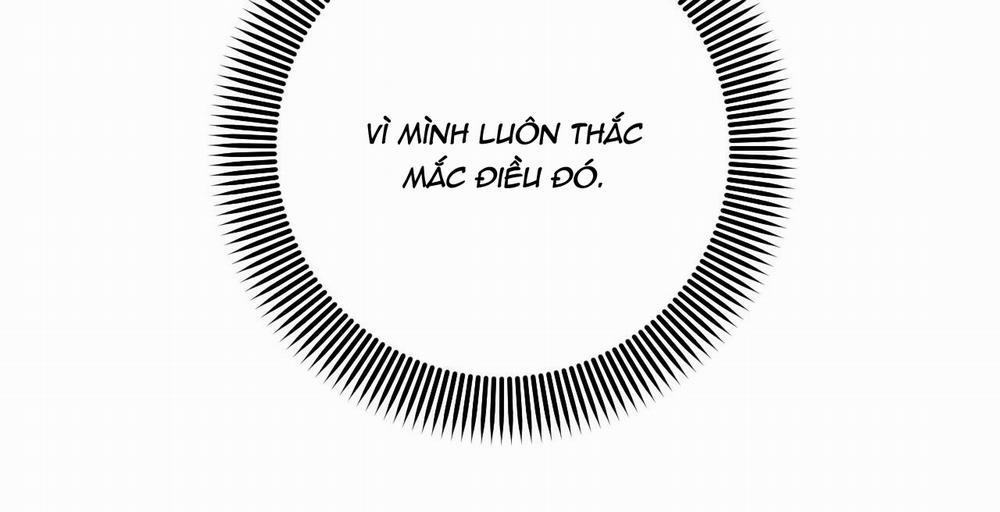 Đàn Thỏ Của Habibi 36 trang 243