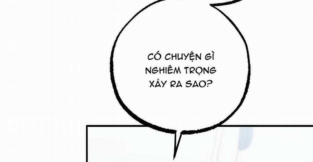 Đàn Thỏ Của Habibi 36 trang 249