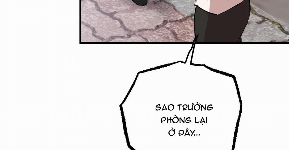 Đàn Thỏ Của Habibi 36 trang 252