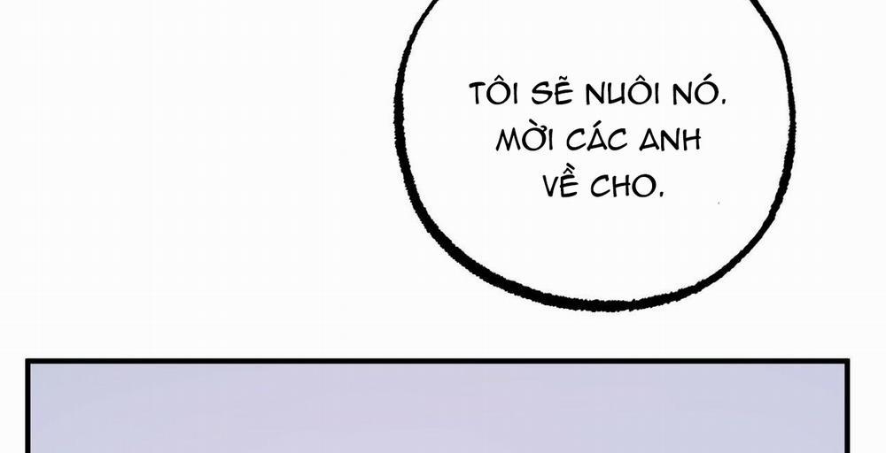 Đàn Thỏ Của Habibi 36 trang 280