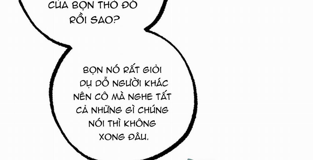 Đàn Thỏ Của Habibi 36 trang 285