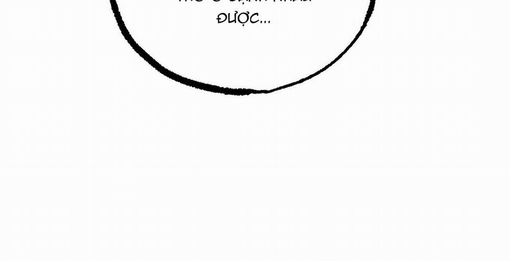 Đàn Thỏ Của Habibi 36 trang 289