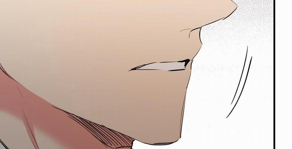 Đàn Thỏ Của Habibi 36 trang 297