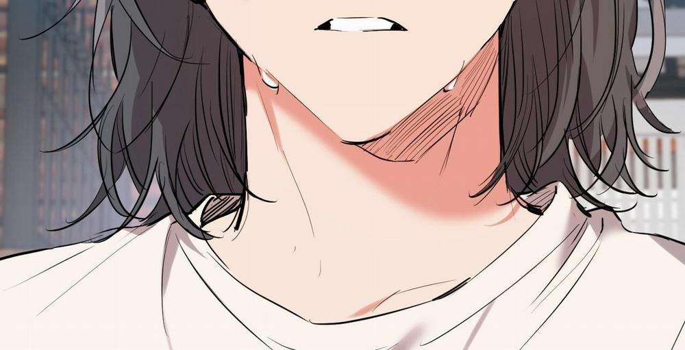 Đàn Thỏ Của Habibi 36 trang 303