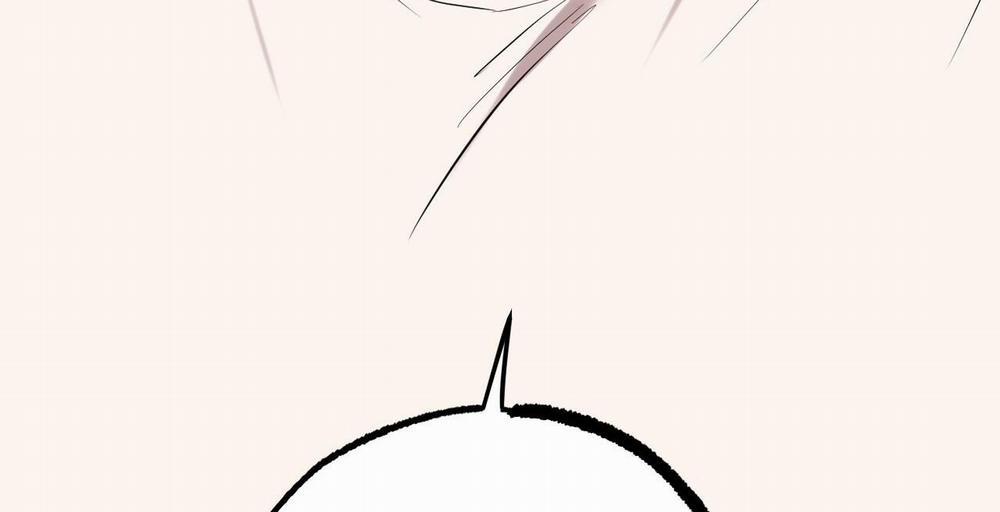 Đàn Thỏ Của Habibi 36 trang 304