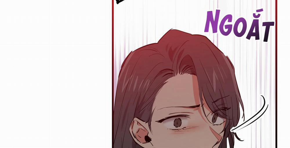 Đàn Thỏ Của Habibi 36 trang 319