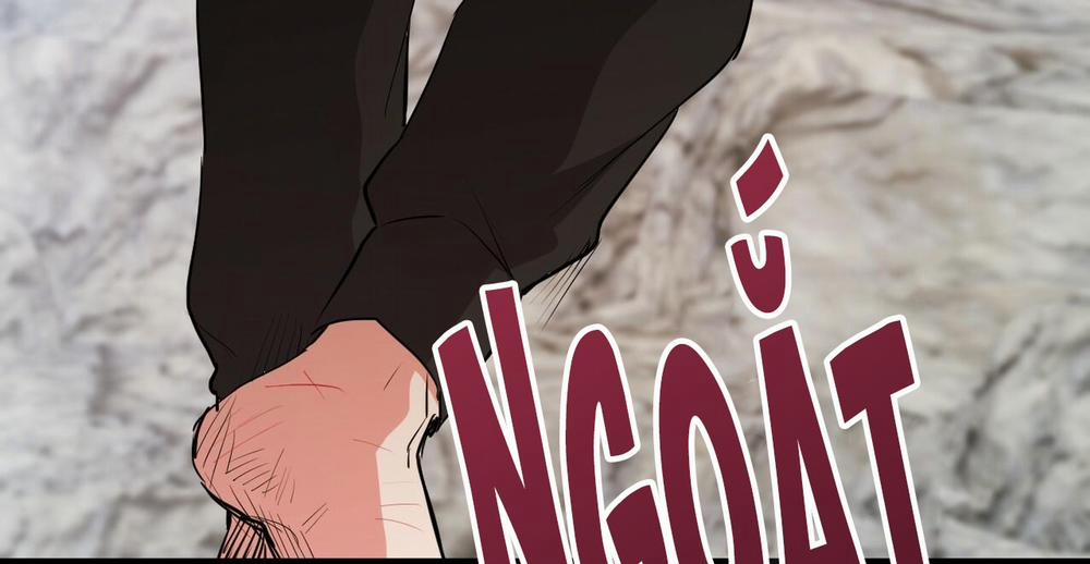 Đàn Thỏ Của Habibi 36 trang 327