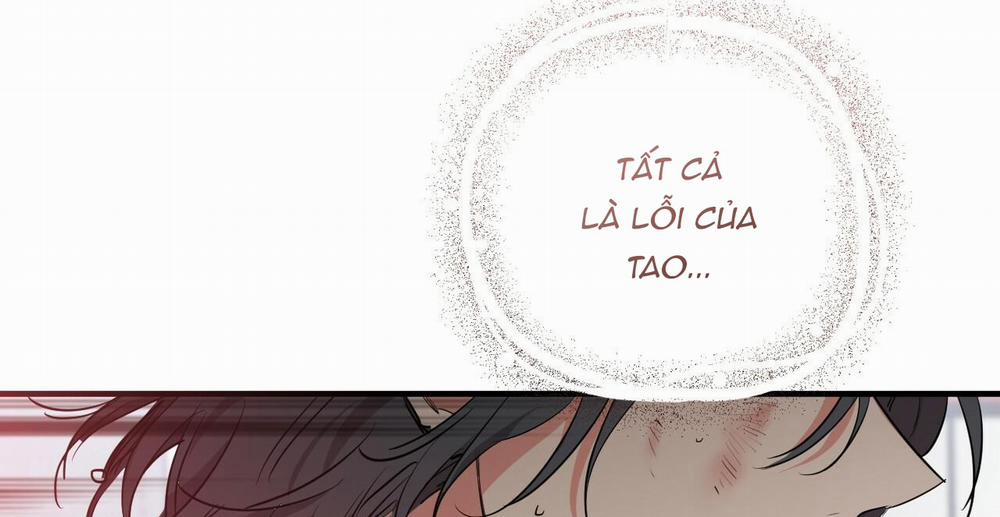 Đàn Thỏ Của Habibi 36 trang 341