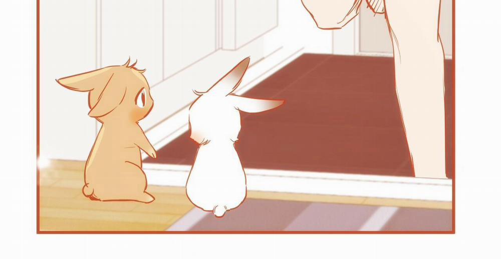 Đàn Thỏ Của Habibi 36 trang 351