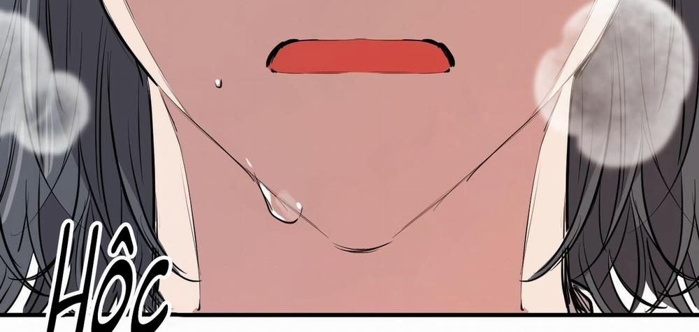 Đàn Thỏ Của Habibi 36 trang 362