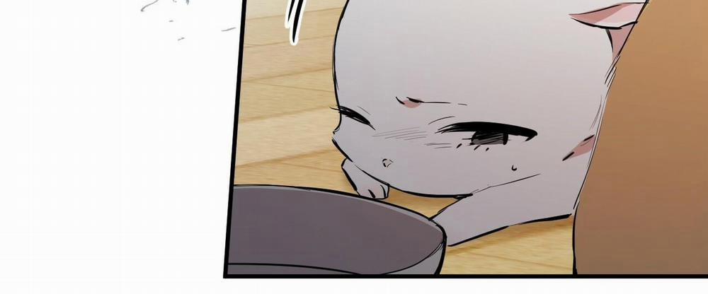 Đàn Thỏ Của Habibi 36 trang 37