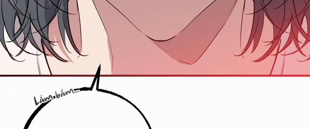 Đàn Thỏ Của Habibi 36 trang 41