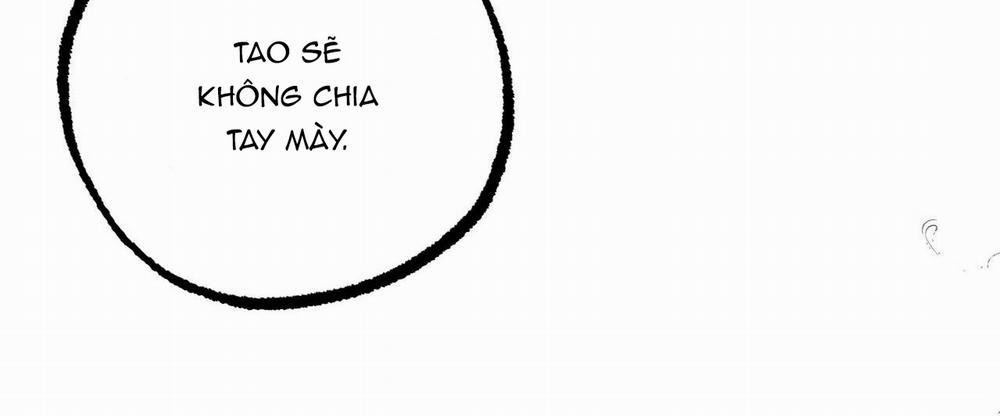 Đàn Thỏ Của Habibi 36 trang 42