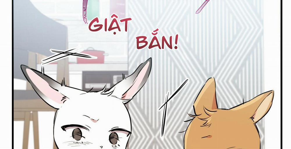 Đàn Thỏ Của Habibi 36 trang 71