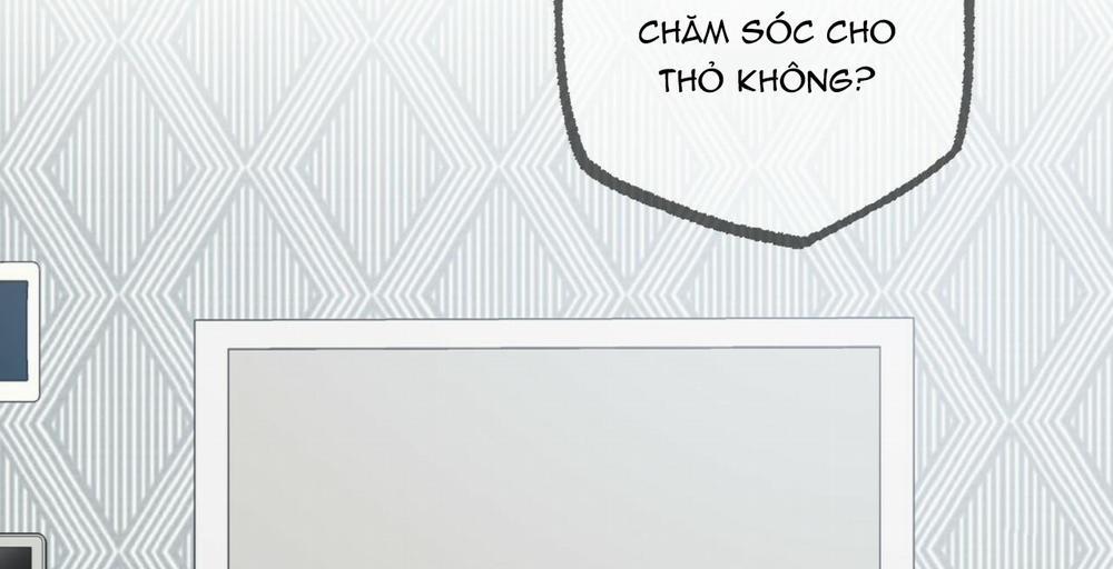 Đàn Thỏ Của Habibi 36 trang 75