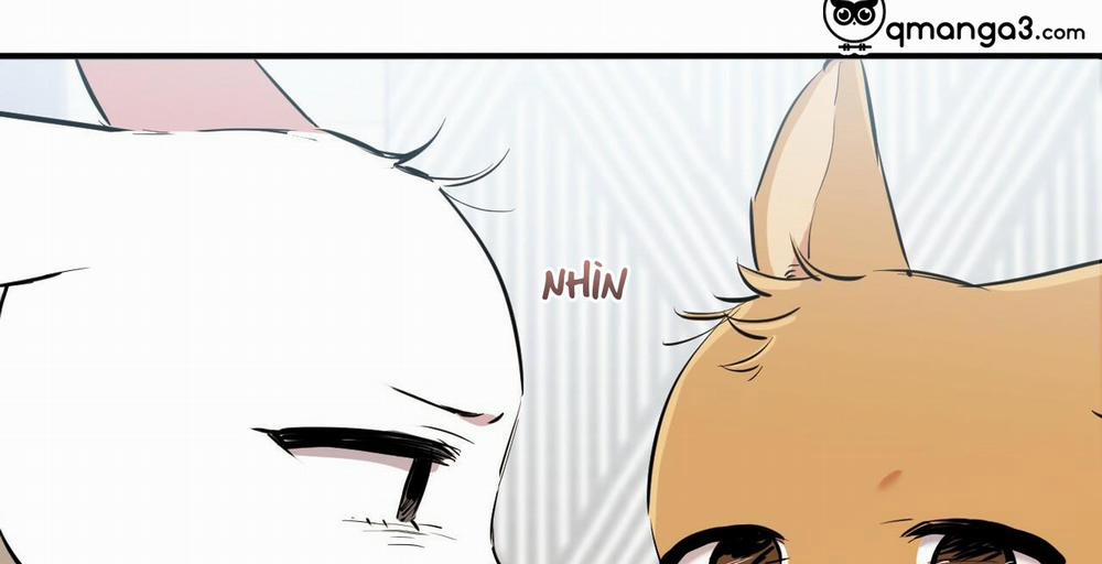 Đàn Thỏ Của Habibi 36 trang 80